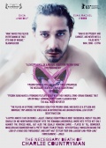 The Necessary Death of Charlie Countryman (Опасная иллюзия), 2013