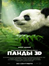 Pandas (Панды 3D), 2018