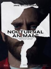 Nocturnal Animals (Под покровом ночи), 2016